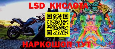 индика Будённовск