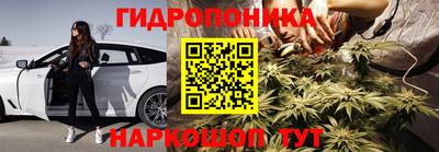 индика Будённовск