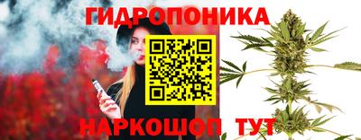 индика Будённовск